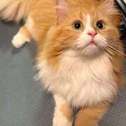 ヒメ日記 2026/02/28 08:33 投稿 ひなた 横浜ハッピーマットパラダイス