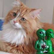 ヒメ日記 2026/03/25 23:13 投稿 ひなた 横浜ハッピーマットパラダイス