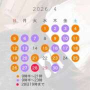 ヒメ日記 2026/03/28 08:23 投稿 ひなた 横浜ハッピーマットパラダイス