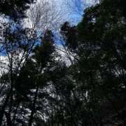 ヒメ日記 2025/01/19 13:22 投稿 小泉　じゅり NADIA京都店