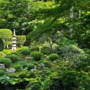 ヒメ日記 2025/05/25 12:45 投稿 小泉　じゅり NADIA京都店