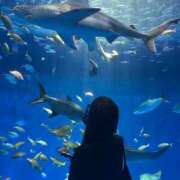 ヒメ日記 2025/08/24 14:13 投稿 小泉　じゅり NADIA京都店