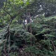 ヒメ日記 2025/08/29 16:41 投稿 小泉　じゅり NADIA京都店