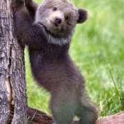 ヒメ日記 2025/09/13 03:39 投稿 小泉　じゅり NADIA京都店