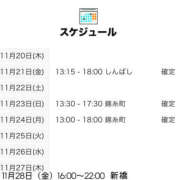 ヒメ日記 2025/11/20 21:01 投稿 えりな 世界のあんぷり亭 新宿総本店