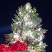 ヒメ日記 2024/12/19 23:01 投稿 あんず 11チャンネル