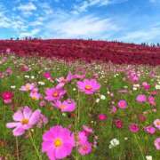 ヒメ日記 2025/10/12 22:45 投稿 百合子（ゆりこ） エッチな熟女(熊谷)