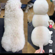 ヒメ日記 2024/12/22 09:50 投稿 りえ 横浜人妻セレブリティ（ユメオト）