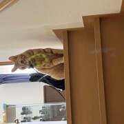 ヒメ日記 2025/01/16 23:53 投稿 りえ 横浜人妻セレブリティ（ユメオト）