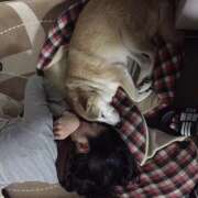 ヒメ日記 2025/02/11 22:21 投稿 りえ 横浜人妻セレブリティ（ユメオト）