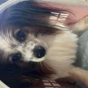 ヒメ日記 2025/03/22 19:46 投稿 りえ 横浜人妻セレブリティ（ユメオト）