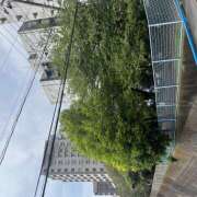 ヒメ日記 2025/04/24 10:00 投稿 りえ 横浜人妻セレブリティ（ユメオト）