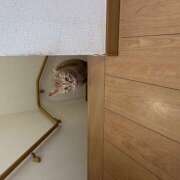 ヒメ日記 2025/05/29 15:01 投稿 りえ 横浜人妻セレブリティ（ユメオト）