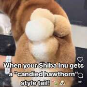 ヒメ日記 2025/07/02 17:37 投稿 りえ 横浜人妻セレブリティ（ユメオト）