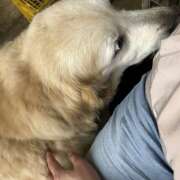 ヒメ日記 2025/07/21 20:36 投稿 りえ 横浜人妻セレブリティ（ユメオト）