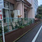 ヒメ日記 2025/07/22 10:05 投稿 りえ 横浜人妻セレブリティ（ユメオト）