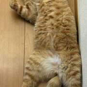 ヒメ日記 2025/08/07 00:02 投稿 りえ 横浜人妻セレブリティ（ユメオト）