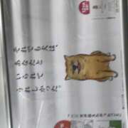 ヒメ日記 2025/08/18 00:26 投稿 りえ 横浜人妻セレブリティ（ユメオト）