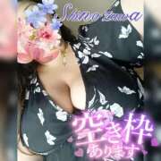 ヒメ日記 2026/08/29 10:40 投稿 篠沢～SHINOZAWA～ BBW名古屋店