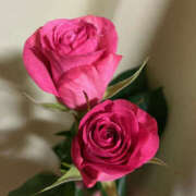 ヒメ日記 2025/02/17 23:13 投稿 かえで 奥鉄オクテツ神奈川店（デリヘル市場グループ）