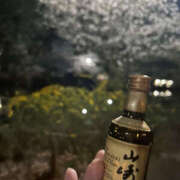 ヒメ日記 2025/03/28 22:13 投稿 かえで 奥鉄オクテツ神奈川店（デリヘル市場グループ）