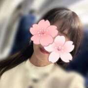 ヒメ日記 2025/04/17 22:07 投稿 かえで 奥鉄オクテツ神奈川店（デリヘル市場グループ）