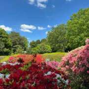 ヒメ日記 2025/04/24 06:54 投稿 かえで 奥鉄オクテツ神奈川店（デリヘル市場グループ）