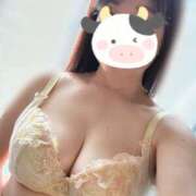 ヒメ日記 2026/02/18 11:20 投稿 かえで 奥鉄オクテツ神奈川店（デリヘル市場グループ）