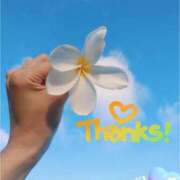 ヒメ日記 2025/07/19 16:08 投稿 小野（おの） ミセス グランデ