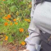 ヒメ日記 2025/10/29 11:42 投稿 りな 奥鉄オクテツ大阪