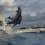 ヒメ日記 2026/01/31 12:57 投稿 りな 奥鉄オクテツ大阪