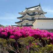 ヒメ日記 2026/04/20 20:14 投稿 りな 奥鉄オクテツ大阪