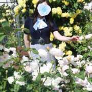 ヒメ日記 2026/05/19 10:01 投稿 りな 奥鉄オクテツ大阪