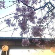 ヒメ日記 2025/03/27 14:50 投稿 渡辺まりか☆巨乳好き必見 ESTE ALLURE