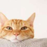 麻木 奈緒 問い合わせ🎀 ～逢～tokyo