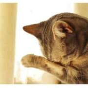 麻木 奈緒 消えちゃいました🙇‍♀️💦 ～逢～tokyo