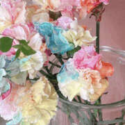 ヒメ日記 2025/06/27 20:35 投稿 もね 新大阪秘密倶楽部