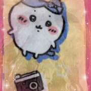 ヒメ日記 2025/04/13 15:10 投稿 えり 若葉