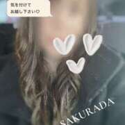 ヒメ日記 2026/03/10 10:10 投稿 桜田 宇都宮回春性感クリニック