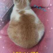 ヒメ日記 2025/02/12 18:15 投稿 ひかる ぱい LOVE YOU 宇都宮店