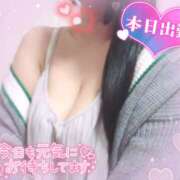 ヒメ日記 2025/02/22 11:25 投稿 ひかる ぱい LOVE YOU 宇都宮店