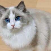 乙川　なおみ 幸せ時間❤️ CUORE～クオーレ～