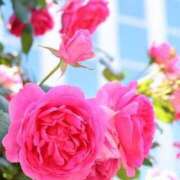 ヒメ日記 2025/05/13 20:24 投稿 千尋（ちひろ） フュージョンスパ