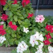 千尋（ちひろ） お疲れさまです。 フュージョンスパ