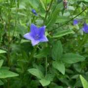 千尋（ちひろ） お疲れさまです。 フュージョンスパ