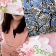 ヒメ日記 2025/04/10 12:41 投稿 あんじゅ 大宮おかあさん