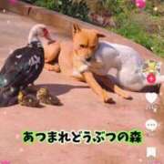 ヒメ日記 2024/12/23 21:02 投稿 そら 大宮おかあさん