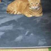 ヒメ日記 2025/09/06 12:28 投稿 そら 大宮おかあさん