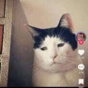 ヒメ日記 2025/09/14 13:36 投稿 そら 大宮おかあさん