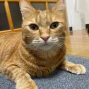 ヒメ日記 2025/09/26 14:56 投稿 そら 大宮おかあさん